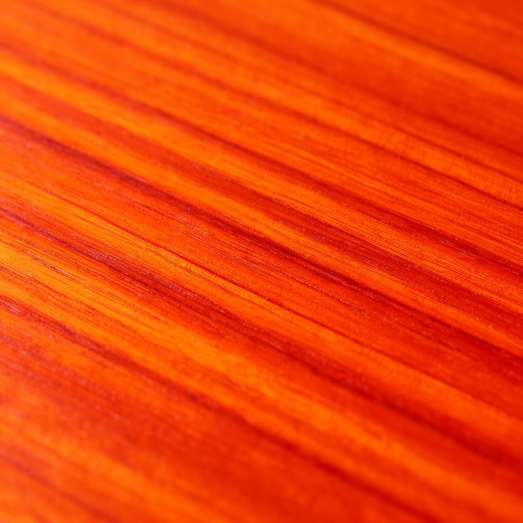 Woodexy - The Global B2B Wood Marketplace
